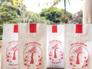 Kit com 4 pacotes de 250g - 100% Arábica Especial