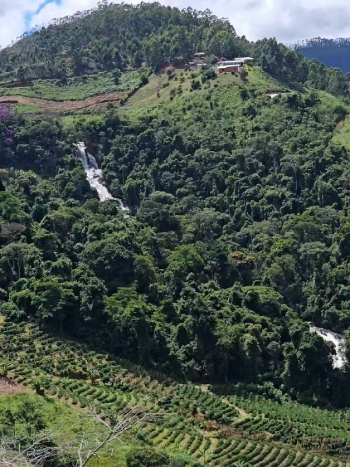 Instagram post from sitioaltocachoeira.cafe. This post is in position 4.