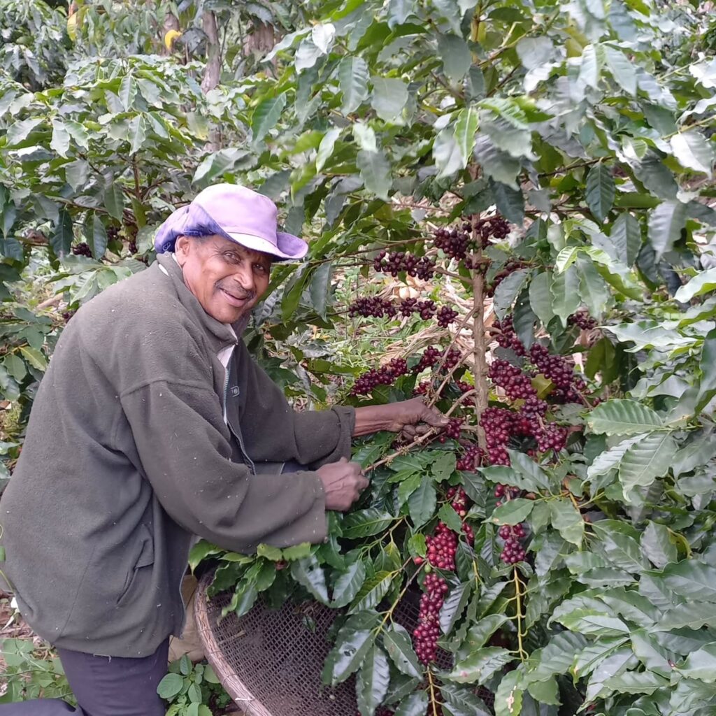 Instagram post from sitioaltocachoeira.cafe. This post is in position 16.