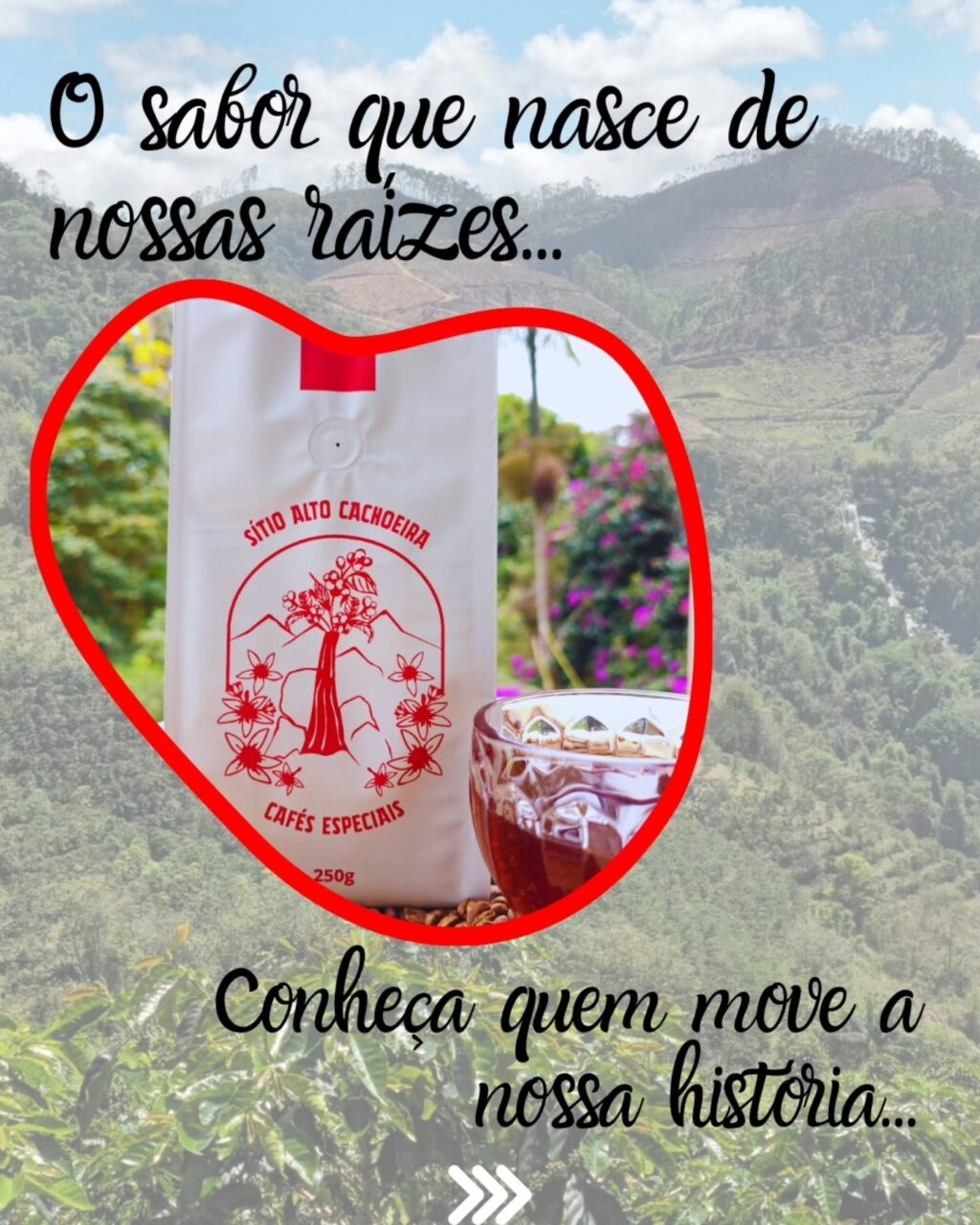 Instagram post from sitioaltocachoeira.cafe. This post is in position 0.