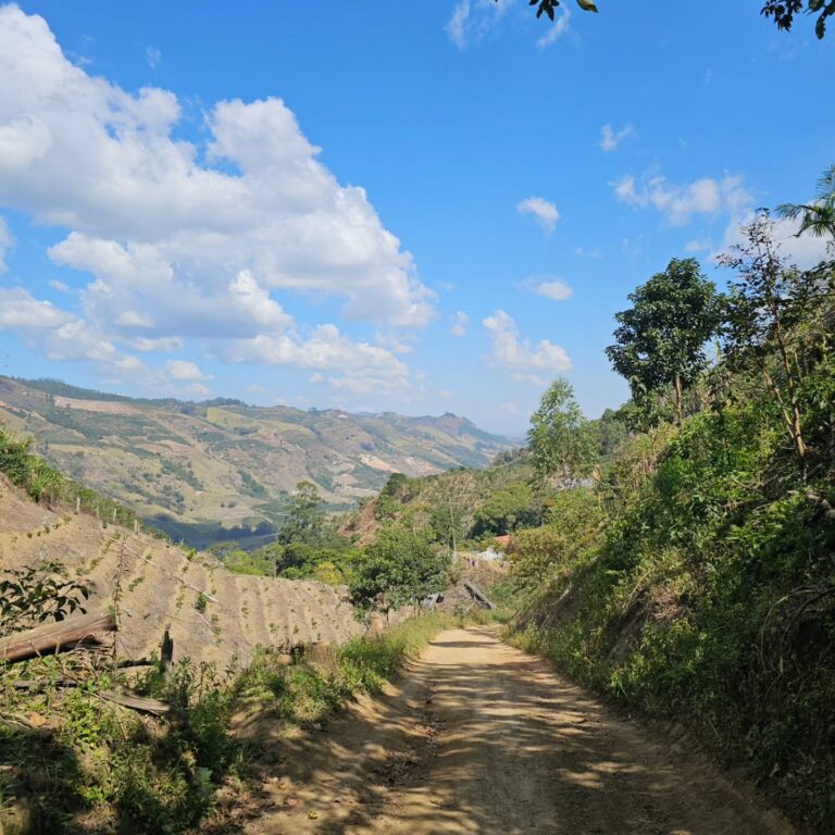 Instagram post from sitioaltocachoeira.cafe. This post is in position 5.