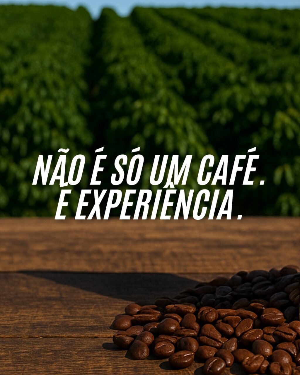 Instagram post from sitioaltocachoeira.cafe. This post is in position 9.