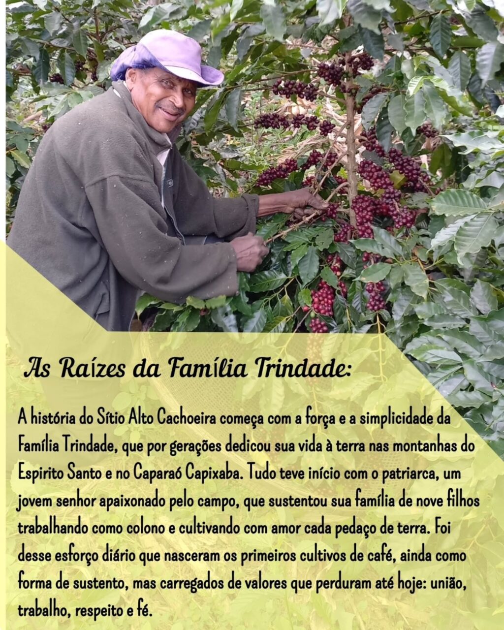 Instagram post from sitioaltocachoeira.cafe. This post is in position 1.