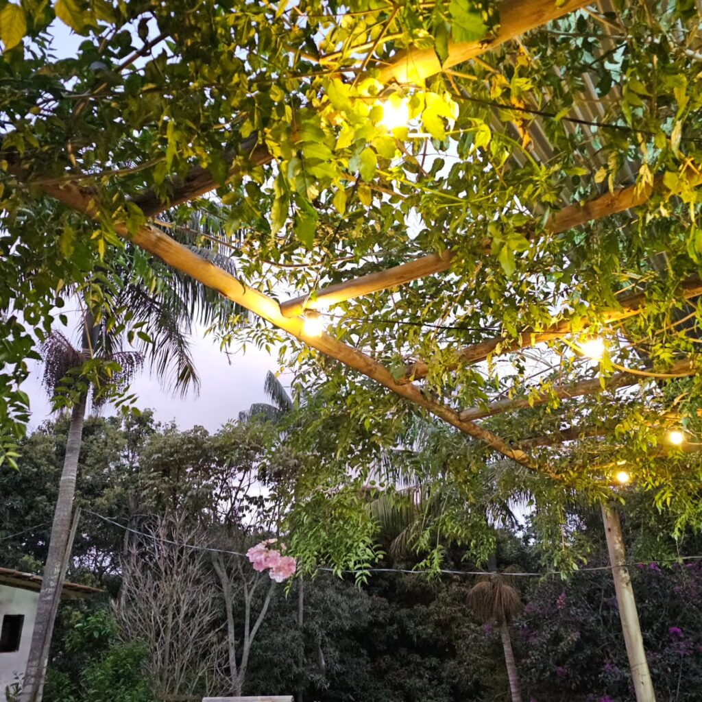 Instagram post from sitioaltocachoeira.cafe. This post is in position 12.