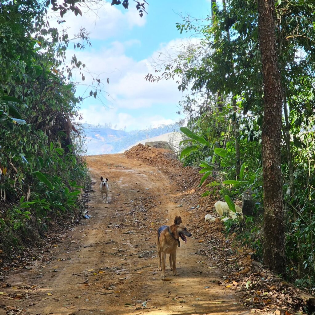 Instagram post from sitioaltocachoeira.cafe. This post is in position 2.